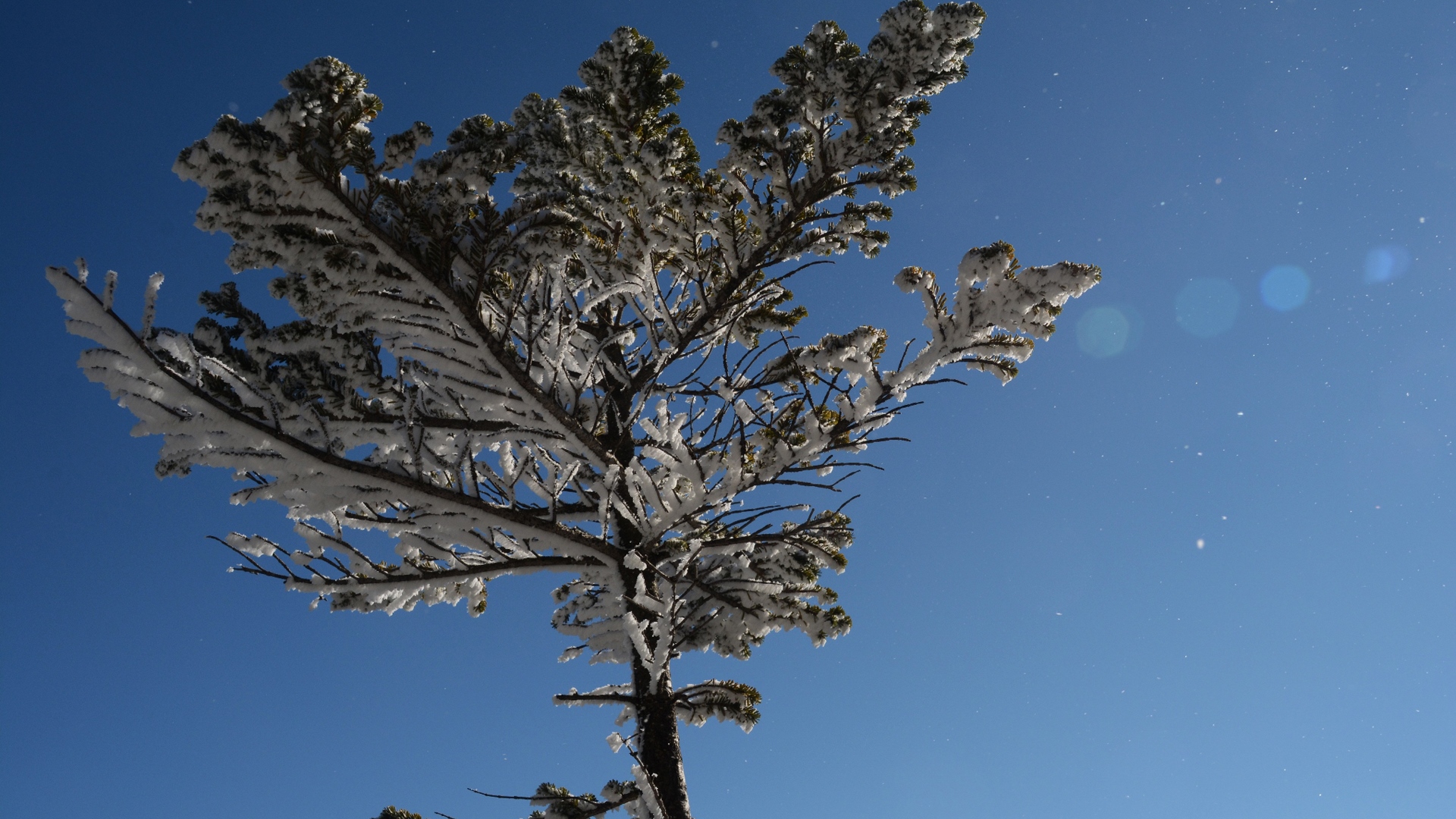 厳冬期の坪庭 北横岳雪山登山 単独 山log