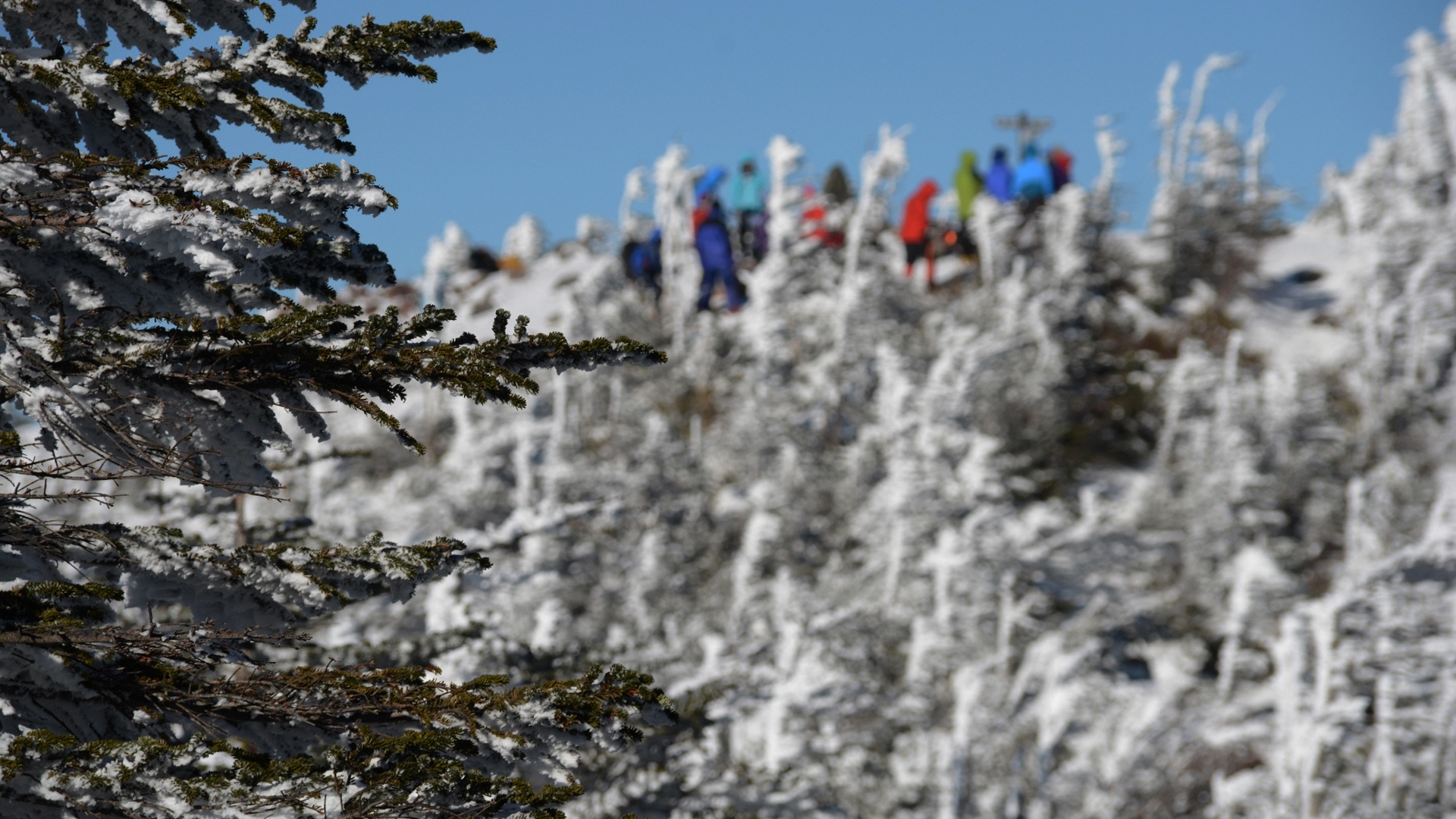 厳冬期の坪庭 北横岳雪山登山 単独 山log