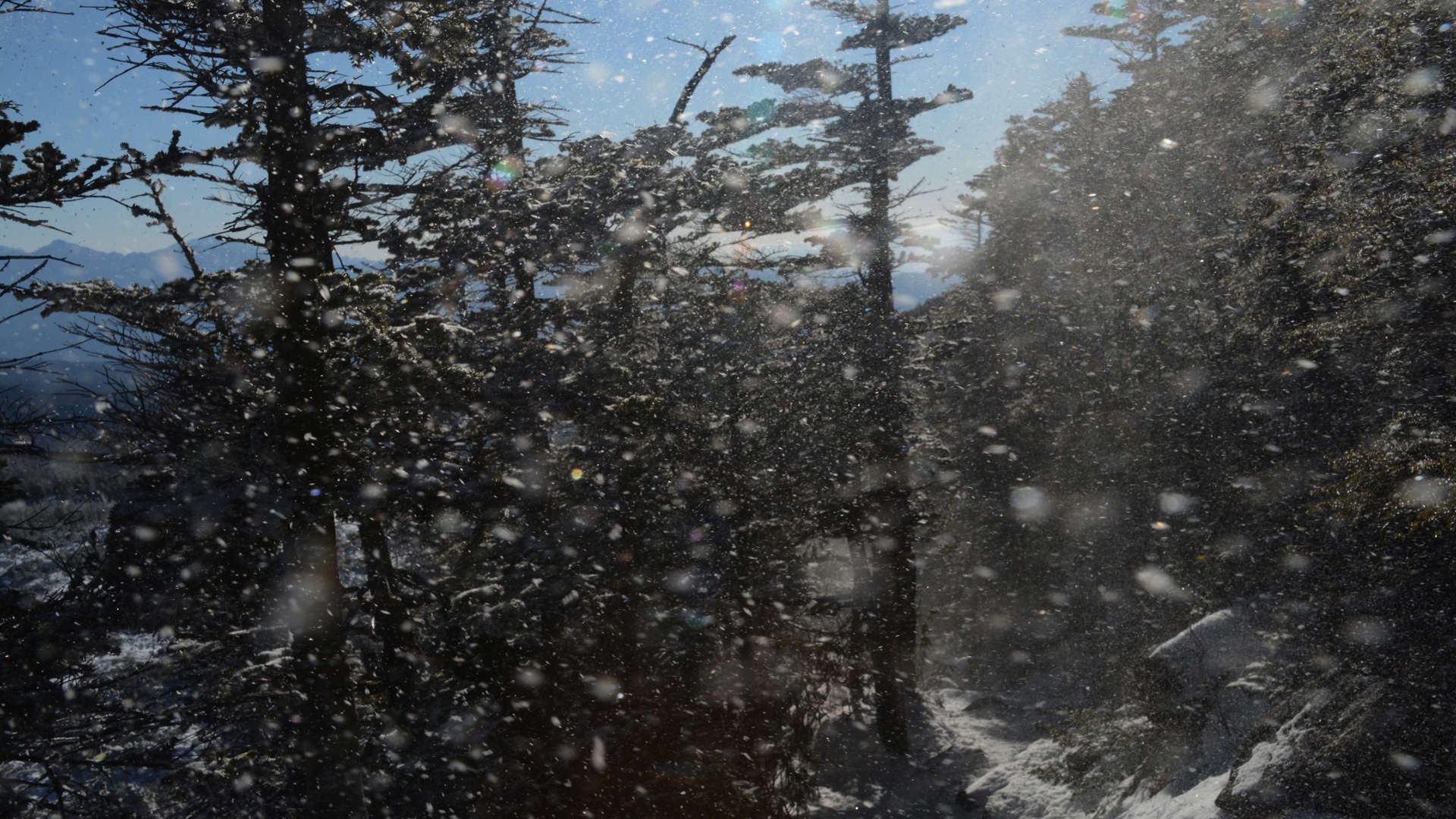 厳冬期の坪庭 北横岳雪山登山 単独 山log