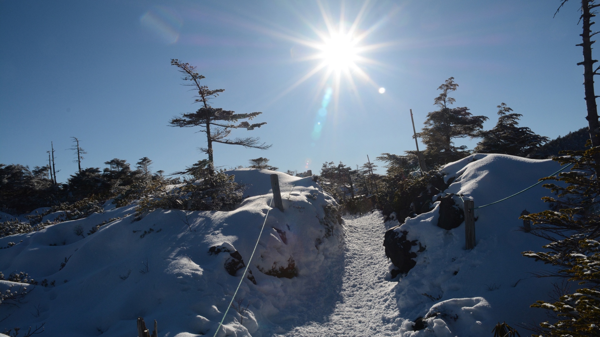 厳冬期の坪庭 北横岳雪山登山 単独 山log