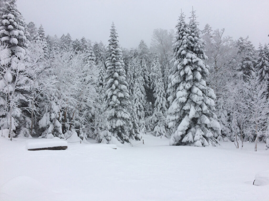 冬の稲子湯旅館 しらびそ小屋 オーレン小屋 八ヶ岳雪山登山 単独テント泊 山log