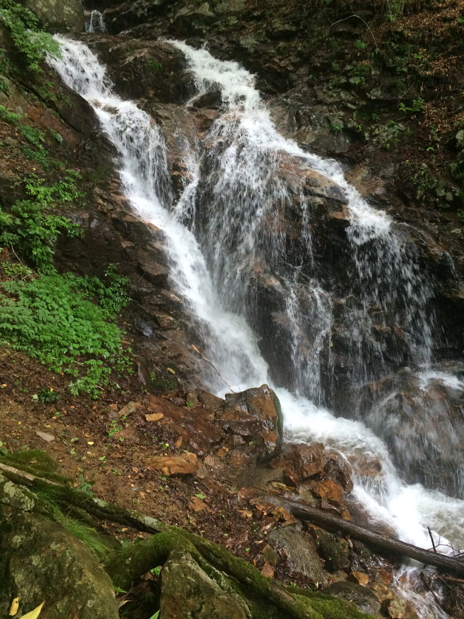 笹子駅 滝子山登山 日帰り 山log